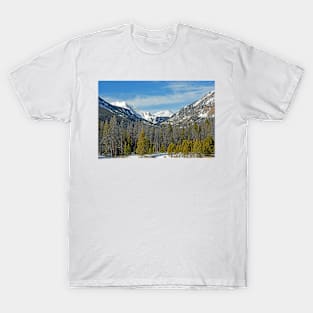 Bowen Mountain in Winter T-Shirt